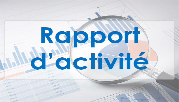 Rapport d'activité